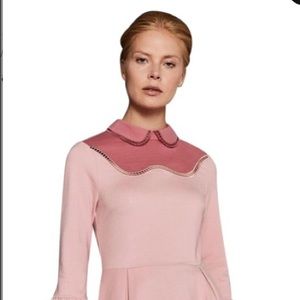 ted baker pippiy ladder lace skater dress